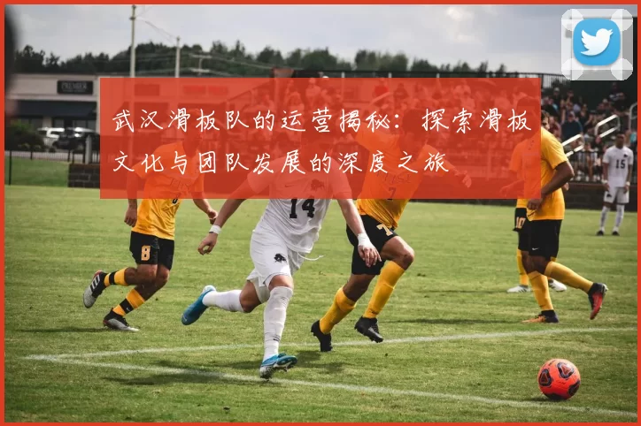 武汉滑板队的运营揭秘：探索滑板文化与团队发展的深度之旅