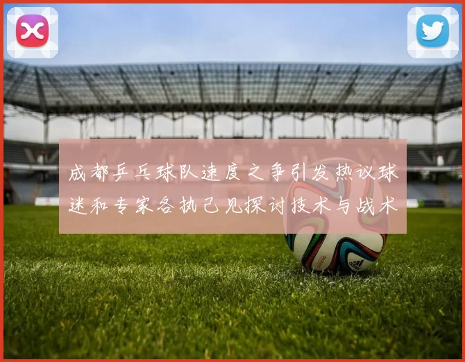 成都乒乓球队速度之争引发热议球迷和专家各执己见探讨技术与战术MBA