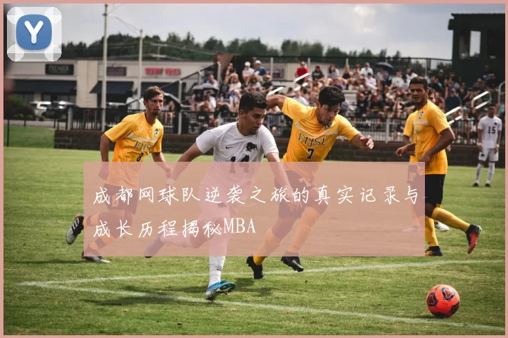 成都网球队逆袭之旅的真实记录与成长历程揭秘MBA