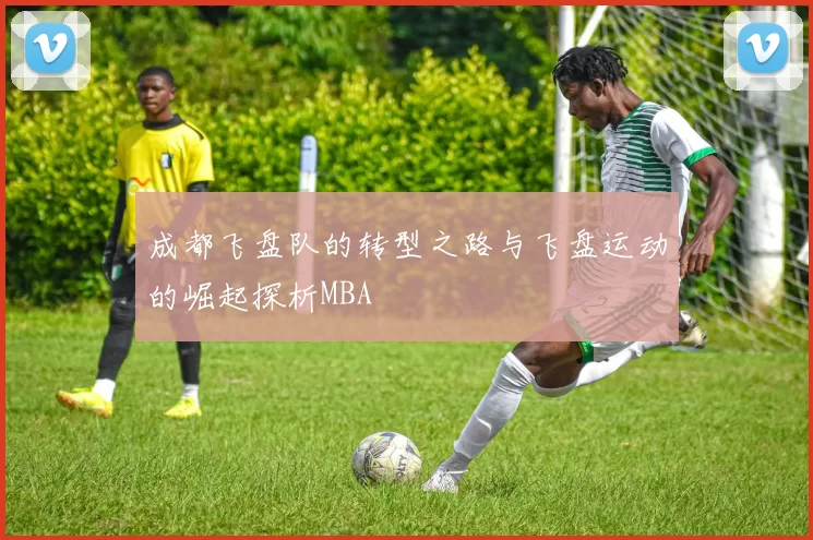 成都飞盘队的转型之路与飞盘运动的崛起探析MBA